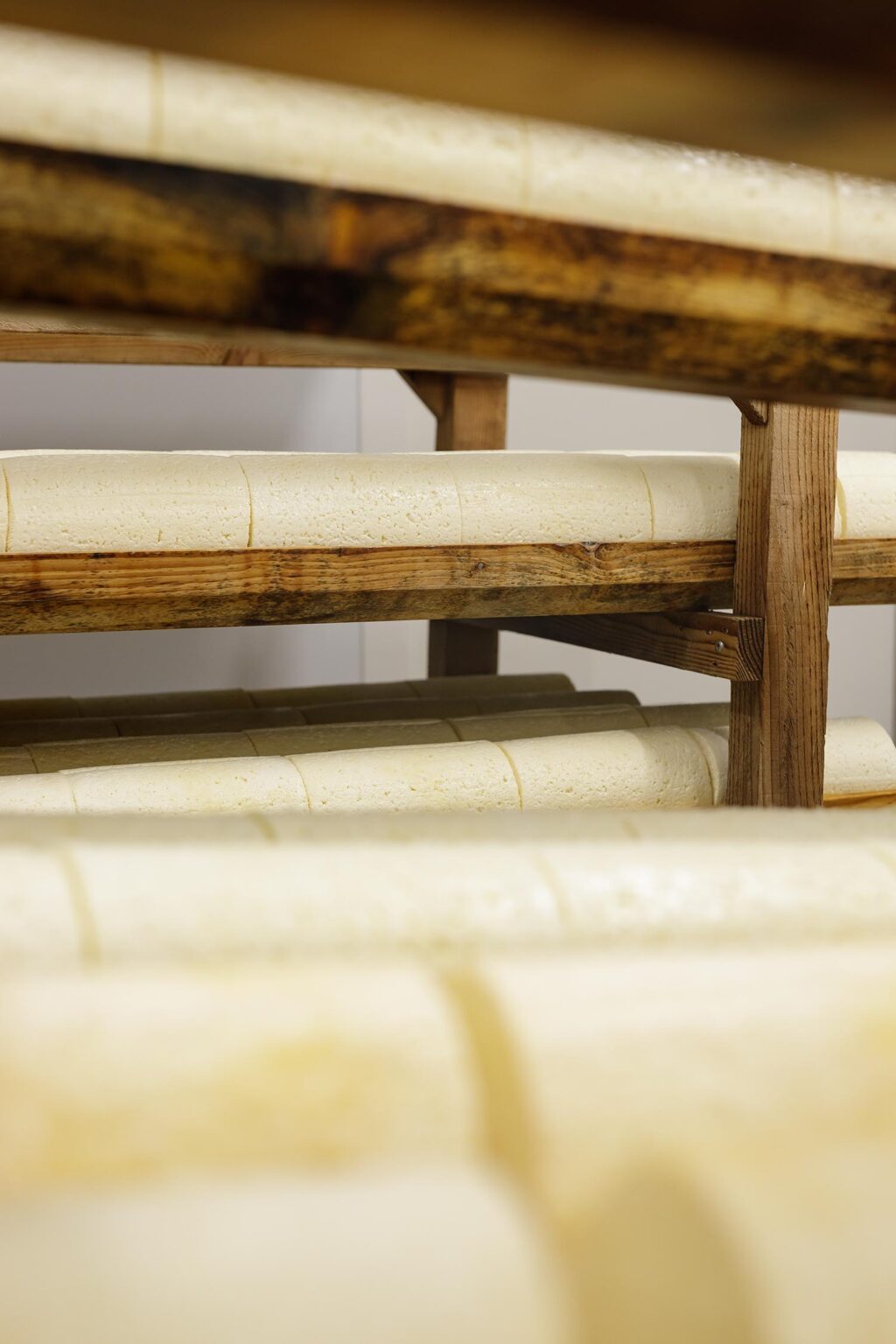 Fourme de Montbrison chéneaux