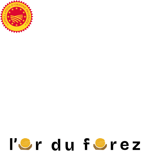 4. BLOC MARQUE LDF COULEUR FOND BLANC V1